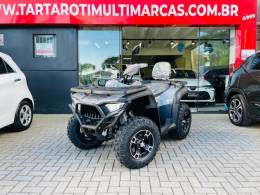 MXF - FOX 325 - 2025/2025 - Cinza - R$ 41.990,00